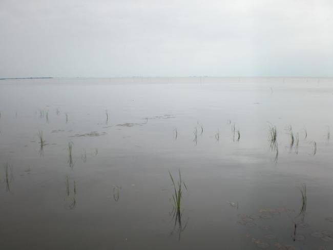 SANY7448.jpg